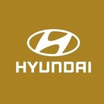 435286737_1910515029380334_3322068688834493560_n