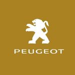 436724267_1478095229808922_5403081517329872181_n